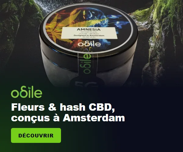 Odile.green : fleurs et hash CBD, conçus à Amsterdam