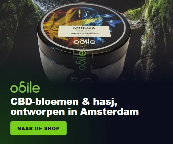 Odile.green: CBD-bloemen en hasj, ontworpen in Amsterdam