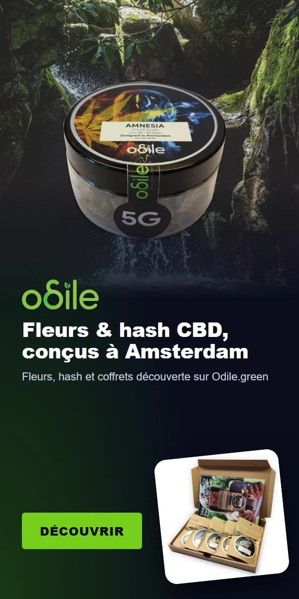 Odile.green : fleurs et hash CBD, conçus à Amsterdam