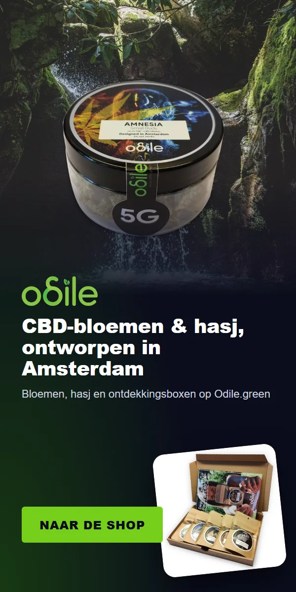 Odile.green: CBD-bloemen en hasj, ontworpen in Amsterdam