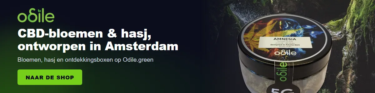 Odile.green: CBD-bloemen en hasj, ontworpen in Amsterdam