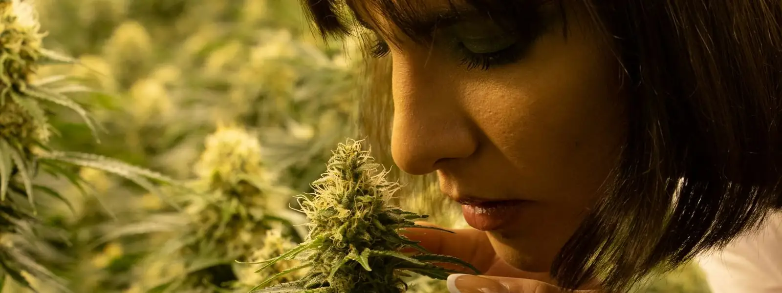 Woman smelling a cannabis flower